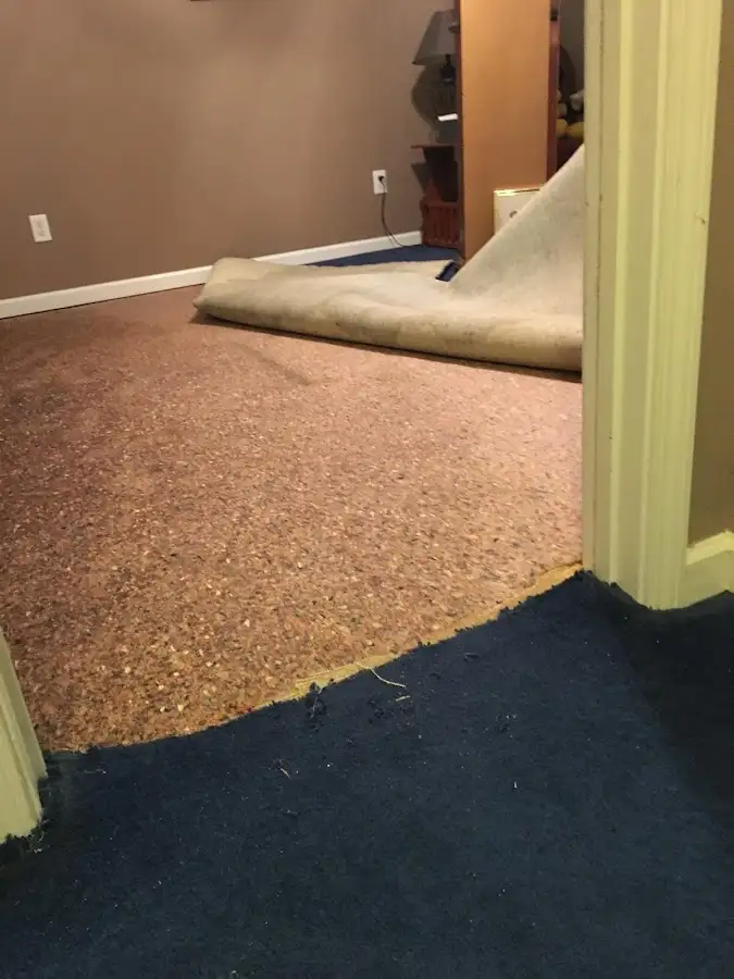 Carpet pad removal revealing water damage during Drying & Dehumidification in Monaca